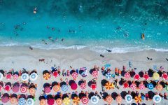 20 Best Beach Umbrellas