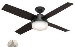 Top 20 of Black Outdoor Ceiling Fans with Light